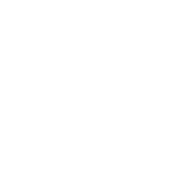 C3 Film Guide